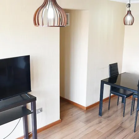 Comodo Y Acogedor Apartamento En Santiago Centro Apartment